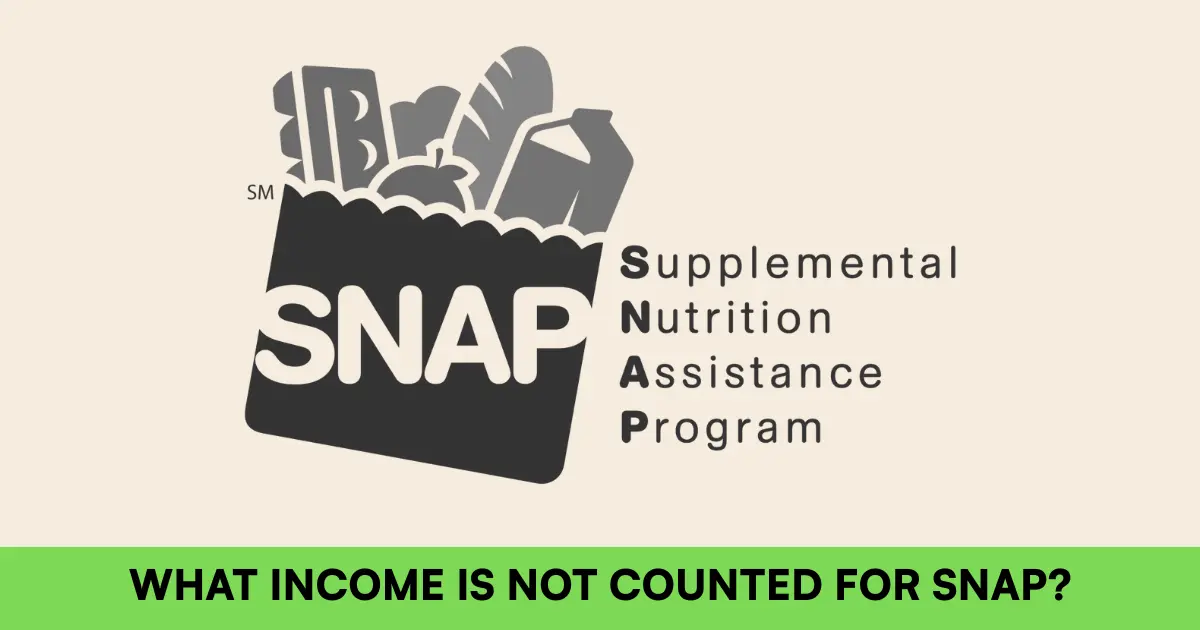 what income is not counted for SNAP