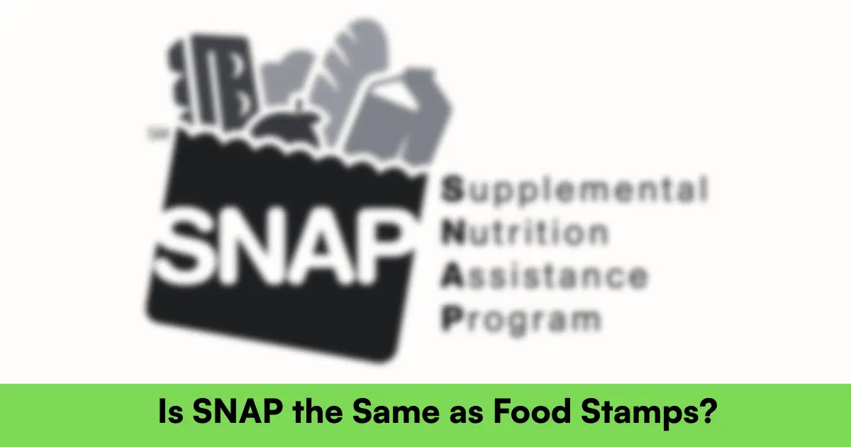Is SNAP food stamps