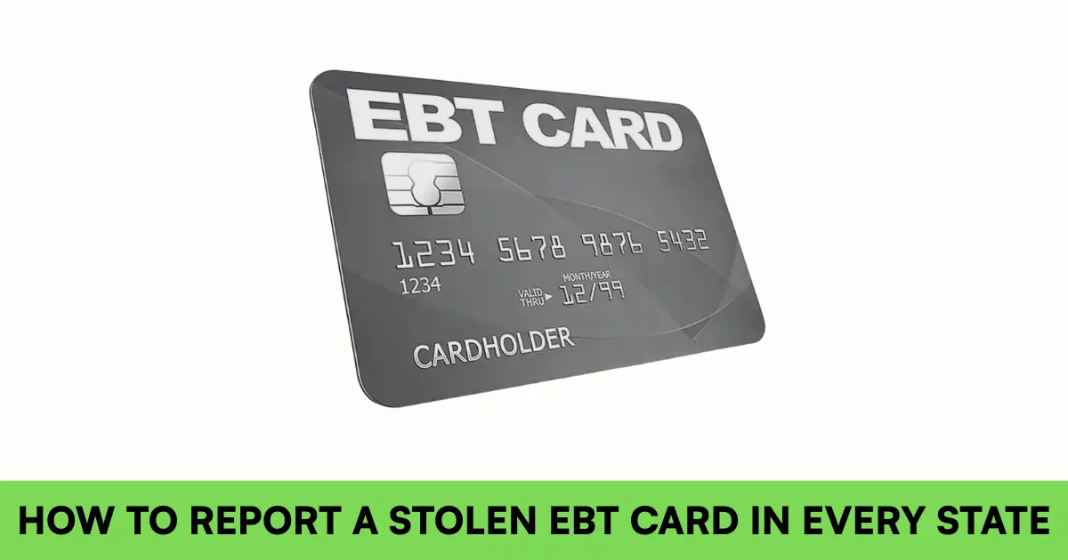 how to report a stolen ebt card in every state